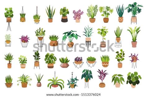 71,534 House Plants Drawing Images, Stock Photos & Vectors .